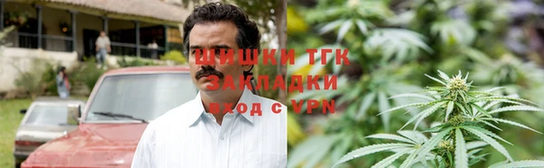 apvp Алзамай