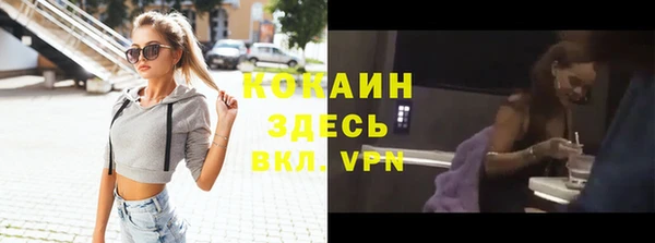 шишки Пересвет