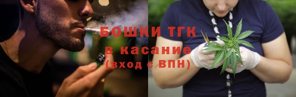 шишки Пересвет